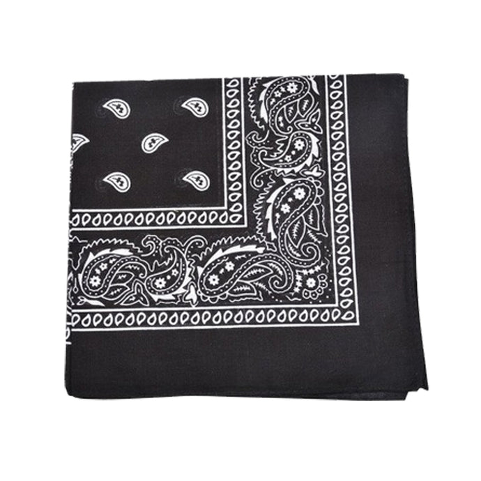 Paisley Bandana