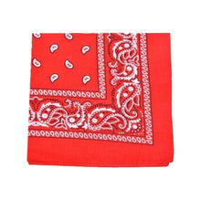 Paisley Bandana