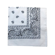 Paisley Bandana