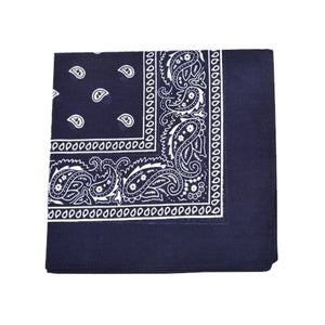 Paisley Bandana