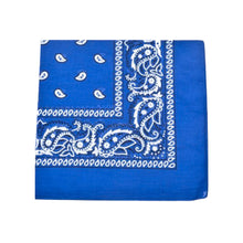 Paisley Bandana