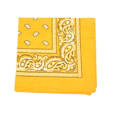 Paisley Bandana