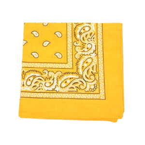 Paisley Bandana