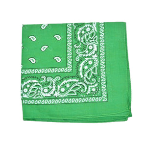 Paisley Bandana