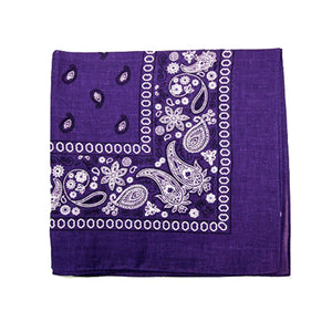 Paisley Bandana