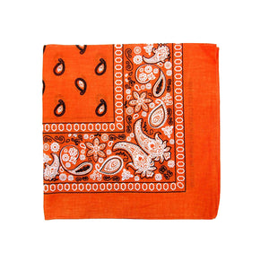 Paisley Bandana